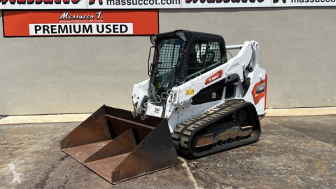 Bobcat