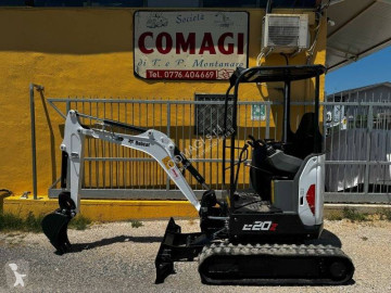 Bobcat