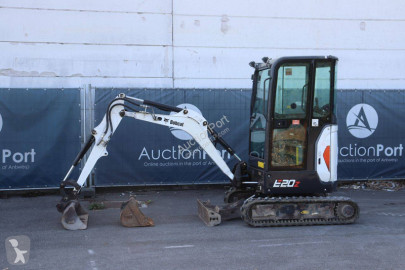 Bobcat
