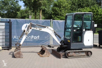 Bobcat