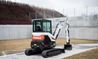 Bobcat
