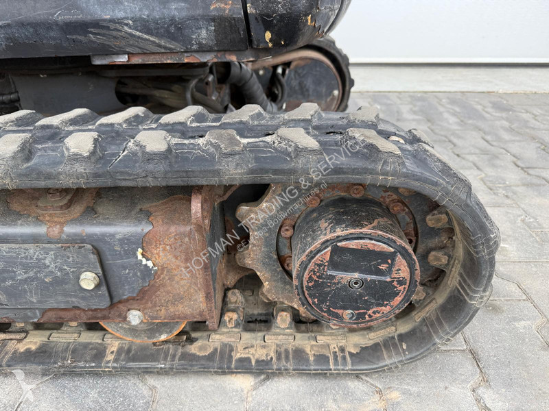 Pelle Bobcat z