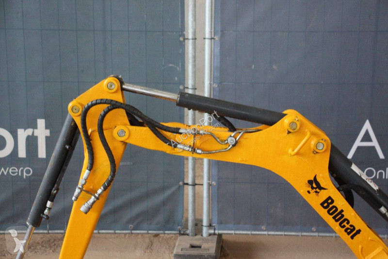 Excavator Bobcat