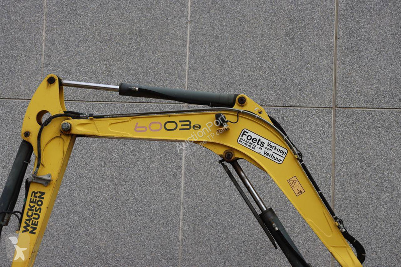 Pelle Neuson 6003