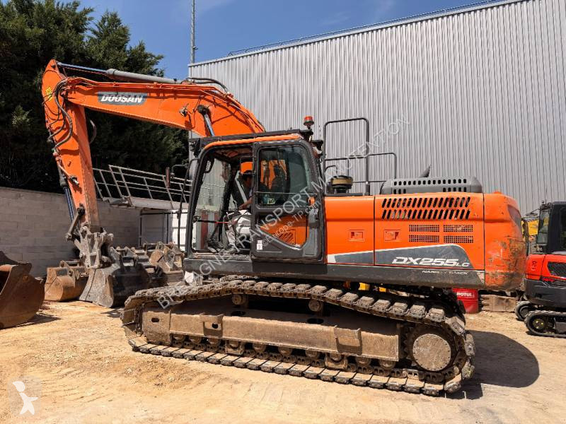 Pelle Doosan