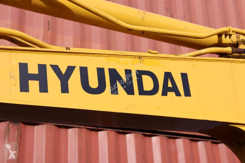 Pelle Hyundai