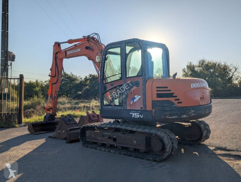Pelle Doosan