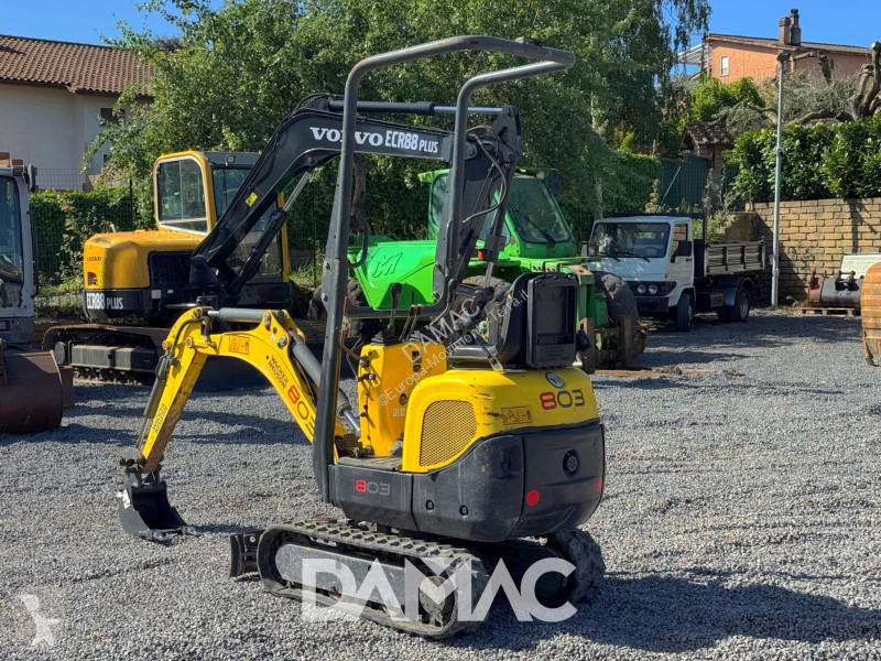 Escavatore Wacker Neuson