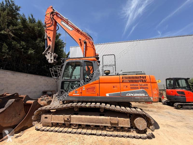 Pelle Doosan