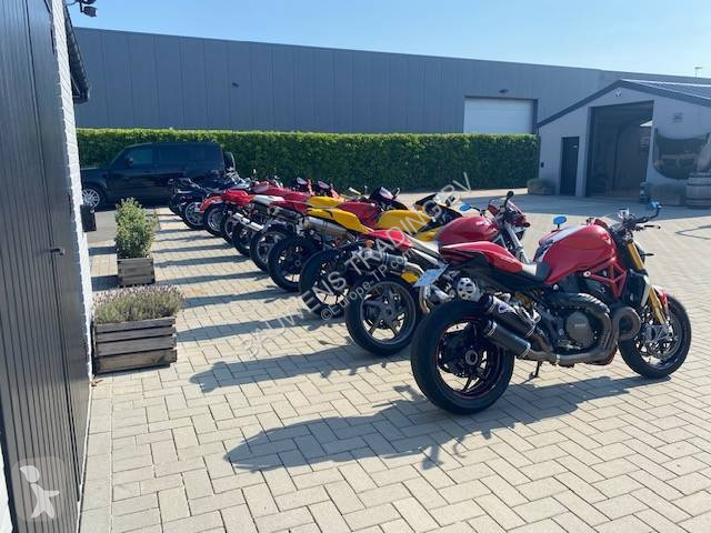 Rýpadlo  sportster 883R