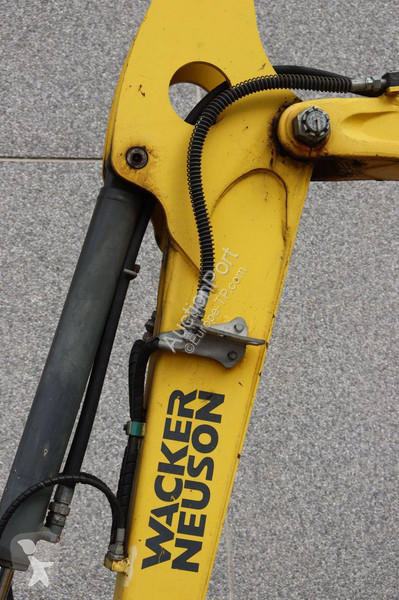 Pelle Neuson 6003