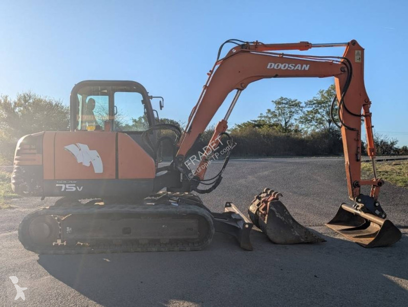 Pelle Doosan