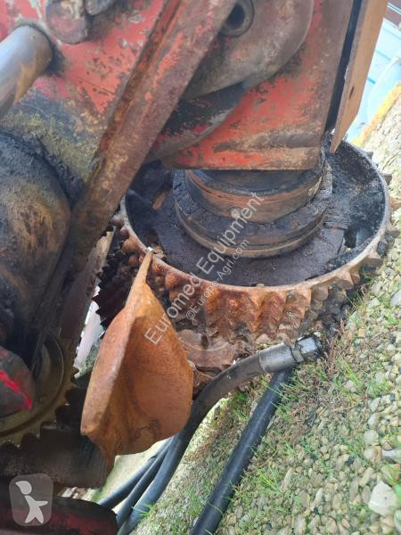 Material florestal Waratah  RTH622