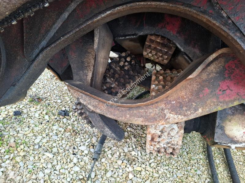 Material florestal Waratah  RTH622