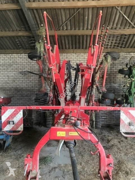 Zonas verdes Lely Hibiscus 725