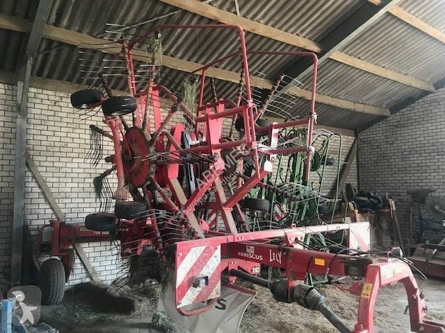 Spazi verdi Lely Hibiscus 725