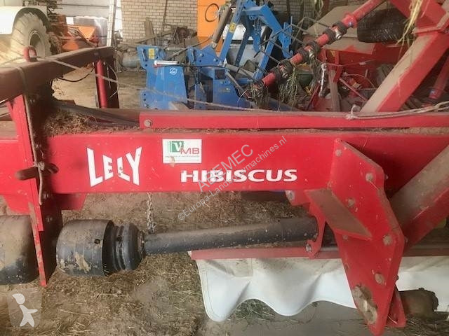 Spazi verdi Lely Hibiscus 725