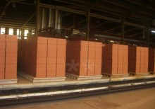 Complete line for clay brick / BRIQUETERIE COMPLETE 300 à 500 t/jour .verdes,ceric,Domanch construction used other