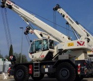 Terex RT45L autogrù usata