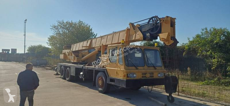 Grua Grove tms 250