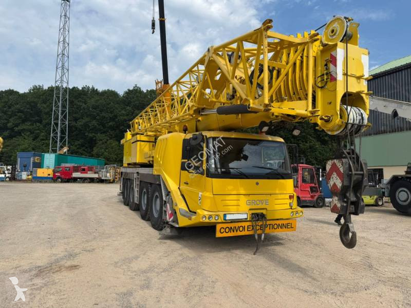 Grue Grove
