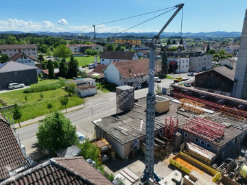 Grue à tour