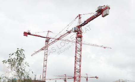 Grua Potain  MD 310