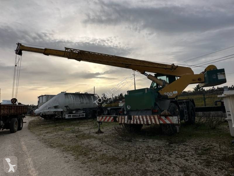 Grua PPM A300