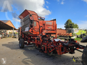 Grimme