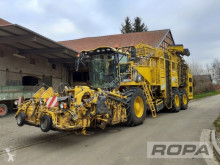 Ropa Tiger 5c Otras culturas especializadas usada