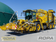 Culture spécialisée Ropa Tiger 6Sa