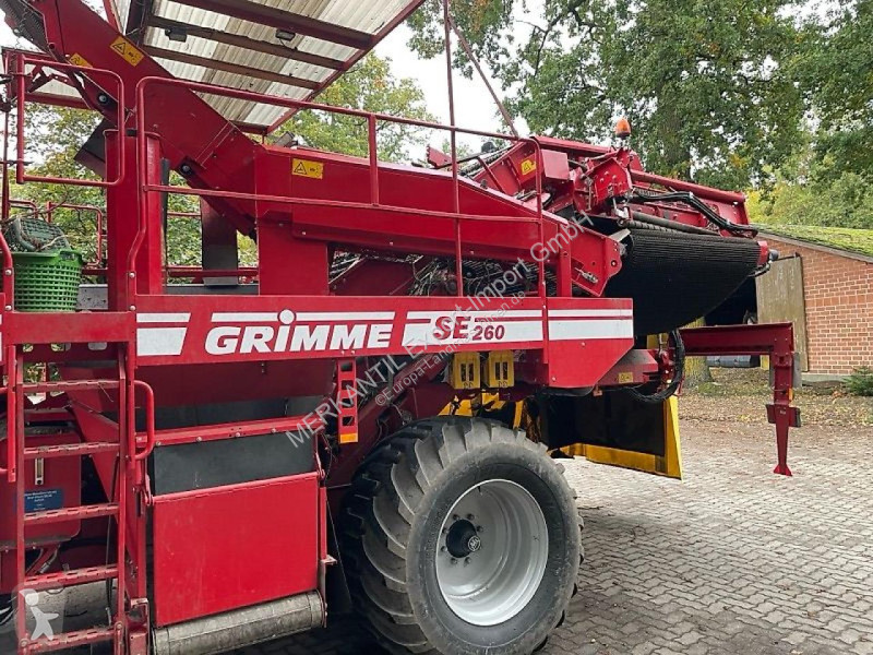 Specialiserade odlingar Grimme  SE 260 Terra