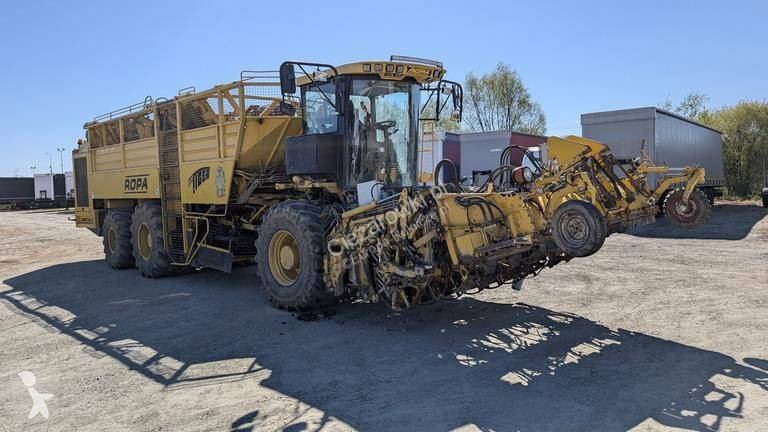 Ropa TIGER V8-3 beet harvester / 6000 MTH...