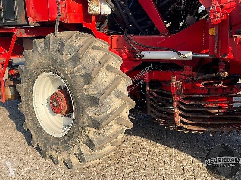 Gespecialiseerde teelt Gilles Beet Master 2000