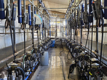 Delaval