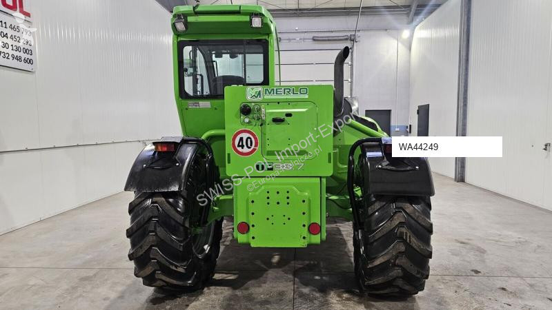Materiale di allevamento  TF 38.7
