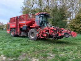 Holmer