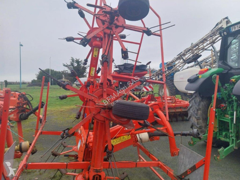 Fienagione Kuhn