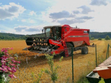 Massey Ferguson Moissonneuse-batteuse occasion