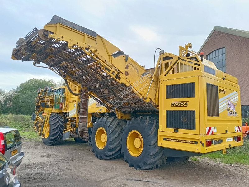 Žně Ropa tiger 5c beet harvester bieten rooier