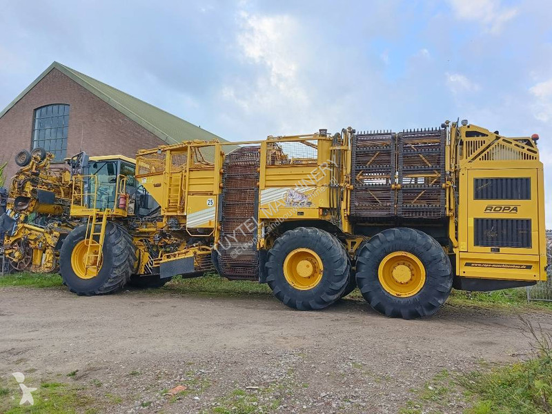Žně Ropa tiger 5c beet harvester bieten rooier