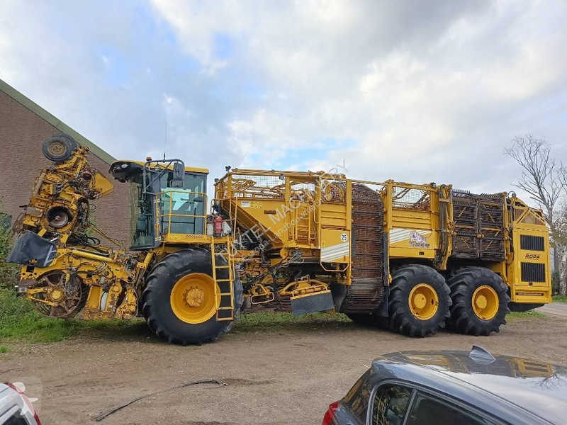 Žně Ropa tiger 5c beet harvester bieten rooier