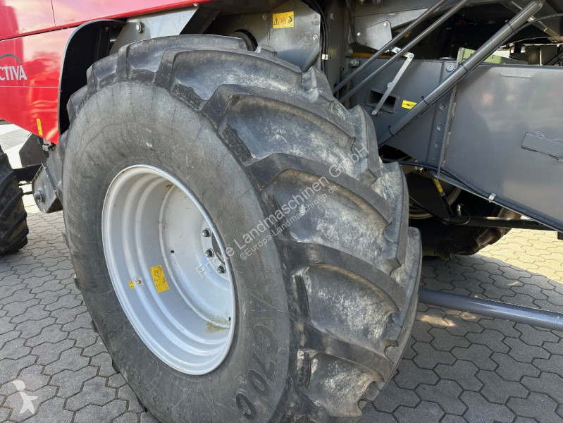 Høst Massey Ferguson  7344 Activa  Nur 18...