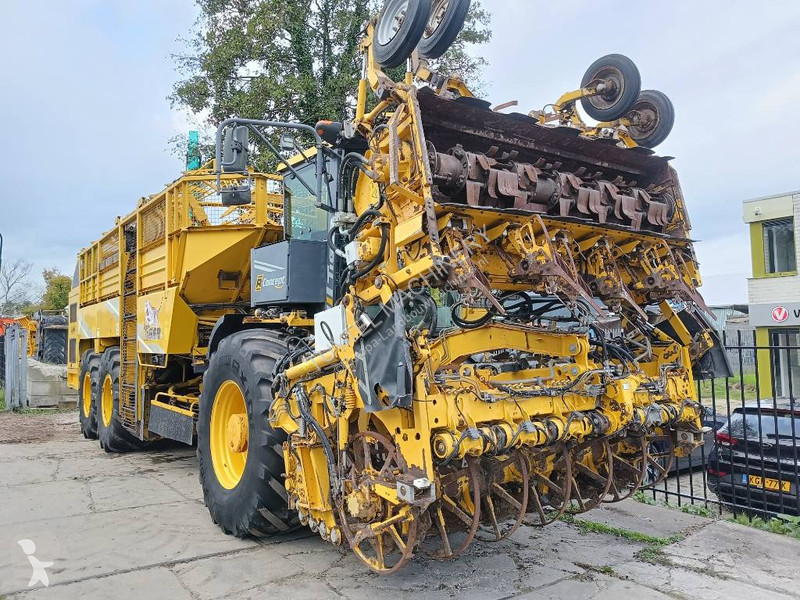 Žně Ropa tiger 5c beet harvester bieten rooier