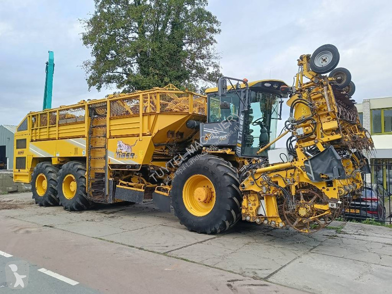 Žně Ropa tiger 5c beet harvester bieten rooier