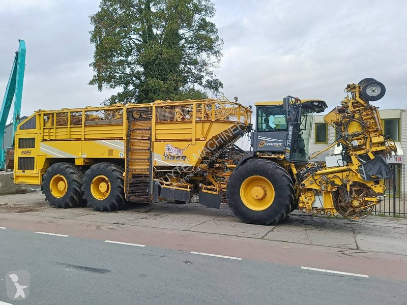 Žně Ropa tiger 5c beet harvester bieten rooier