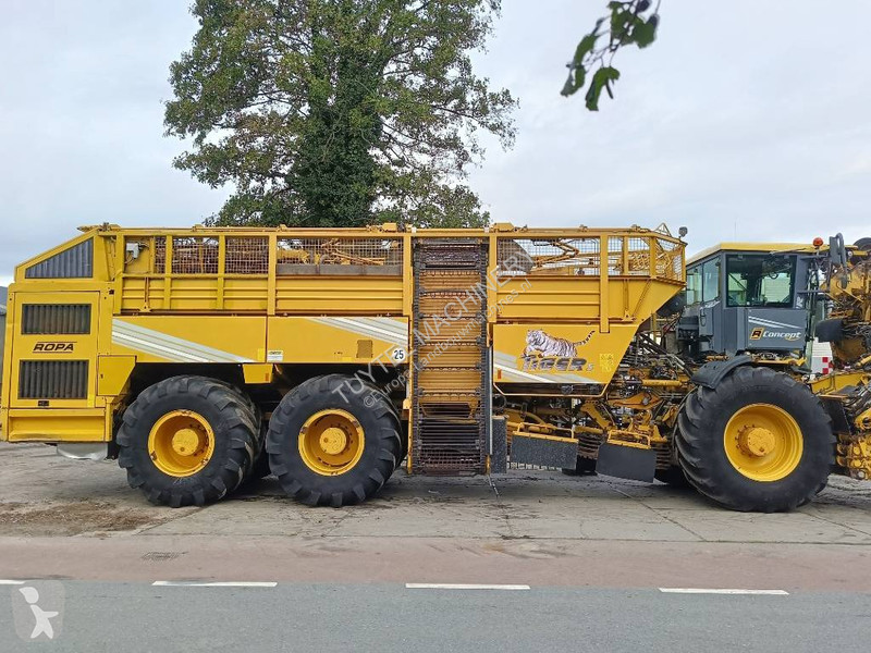 Žně Ropa tiger 5c beet harvester bieten rooier