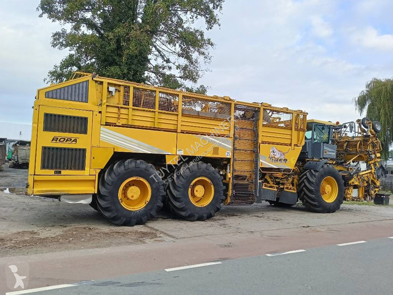 Žně Ropa tiger 5c beet harvester bieten rooier