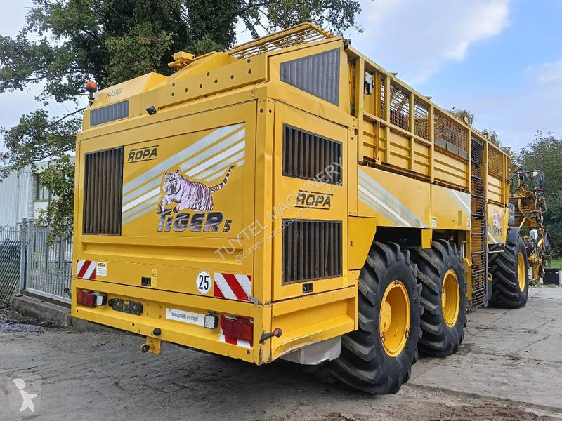 Žně Ropa tiger 5c beet harvester bieten rooier
