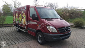Mercedes negative trailer body refrigerated van Sprinter 310 5+5 Türen Eis/Ice -33°C ATP 03/23